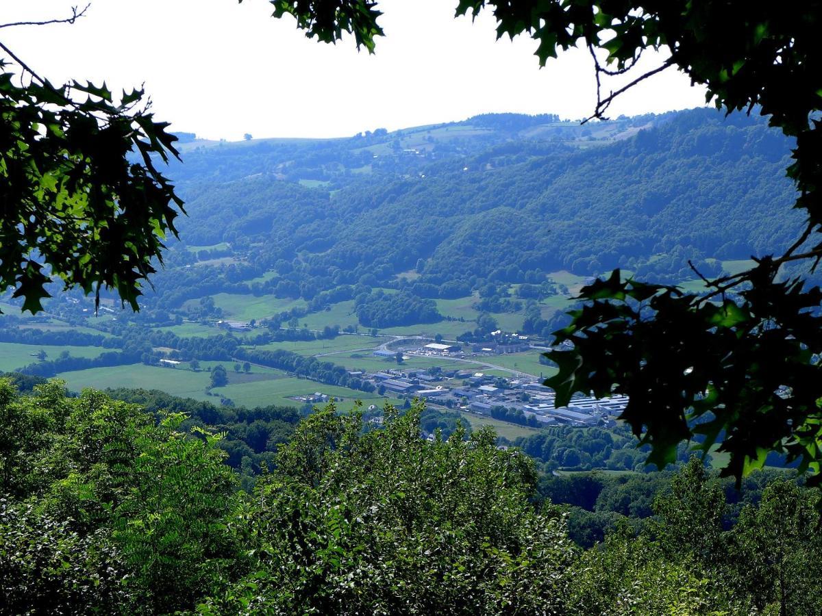 Hostellerie Saint Clement Vic-sur-Cère Buitenkant foto